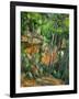 Dans le parc de Chateau-Noir (in the Park).-Paul Cezanne-Framed Giclee Print