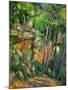 Dans le parc de Chateau-Noir (in the Park).-Paul Cezanne-Mounted Giclee Print