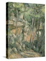 Dans le parc de Château-Noir-Paul Cézanne-Stretched Canvas