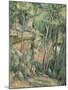 Dans le parc de Château-Noir-Paul Cézanne-Mounted Giclee Print