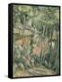 Dans le parc de Château-Noir-Paul Cézanne-Framed Stretched Canvas