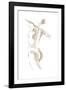 Danseuse - Allonge-Deborah Pearce-Framed Giclee Print