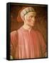 Dante Alighieri Detail of His Bust, from the Villa Carducci Series of Famous Men and Women, c. 1450-Andrea del Castagno-Framed Stretched Canvas