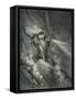 Dante Alighieri La Divina-Gustave Dore-Framed Stretched Canvas