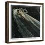 Dante Alighieri-null-Framed Giclee Print