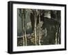 Dante Alighieri-null-Framed Giclee Print