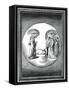 Dante and Beatrice Transported to the Moon, 16th Century-null-Framed Stretched Canvas