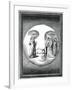 Dante and Beatrice Transported to the Moon, 16th Century-null-Framed Giclee Print