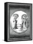 Dante and Beatrice Transported to the Moon, 16th Century-null-Framed Stretched Canvas