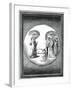 Dante and Beatrice Transported to the Moon, 16th Century-null-Framed Giclee Print