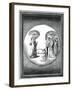 Dante and Beatrice Transported to the Moon, 16th Century-null-Framed Giclee Print