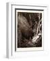 Dante and His Guide-Gustave Dore-Framed Giclee Print