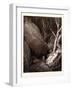 Dante and His Guide-Gustave Dore-Framed Giclee Print