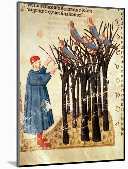Dante and the Souls Transformed into Birds, from 'The Divine Comedy' by Dante Alighieri (1265-1321)-Italian-Mounted Giclee Print