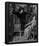 Dante Gabriel Rossetti Hamlet and Ophelia Art Print Poster-null-Framed Poster