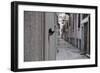 Dantel Street Cat-Ali Ayer-Framed Giclee Print