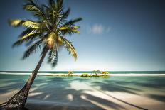 Palm Tree and Shadows on a Tropical Beach, Praia Dos Carneiros, Brazil-Dantelaurini-Stretched Canvas