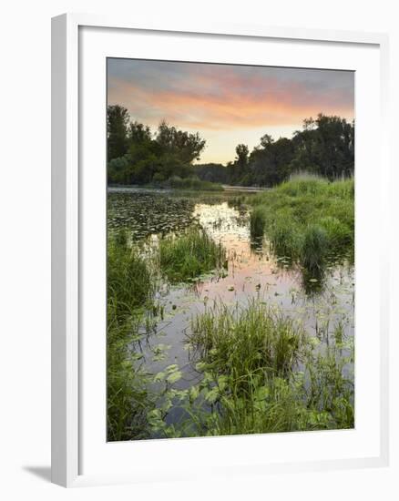 Danube-Auen National Park, Near Orth on the Danube, Lower Austria, Austria-Rainer Mirau-Framed Photographic Print