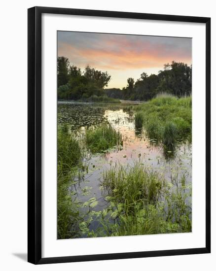 Danube-Auen National Park, Near Orth on the Danube, Lower Austria, Austria-Rainer Mirau-Framed Photographic Print