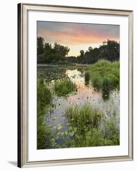 Danube-Auen National Park, Near Orth on the Danube, Lower Austria, Austria-Rainer Mirau-Framed Photographic Print