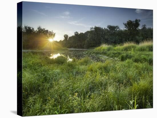 Danube-Auen National Park, Near Orth on the Danube, Lower Austria, Austria-Rainer Mirau-Stretched Canvas