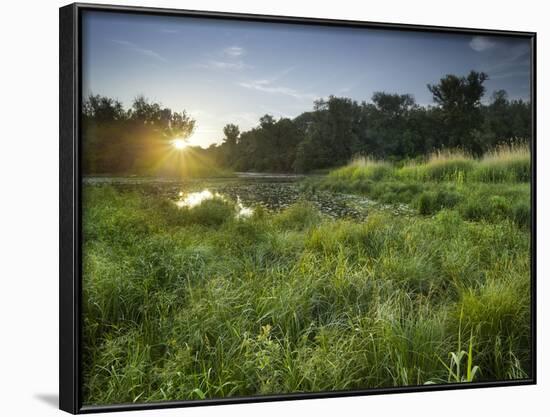 Danube-Auen National Park, Near Orth on the Danube, Lower Austria, Austria-Rainer Mirau-Framed Photographic Print