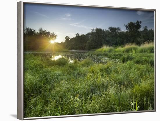 Danube-Auen National Park, Near Orth on the Danube, Lower Austria, Austria-Rainer Mirau-Framed Photographic Print