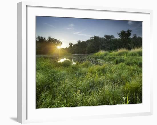 Danube-Auen National Park, Near Orth on the Danube, Lower Austria, Austria-Rainer Mirau-Framed Photographic Print