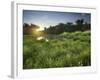 Danube-Auen National Park, Near Orth on the Danube, Lower Austria, Austria-Rainer Mirau-Framed Photographic Print