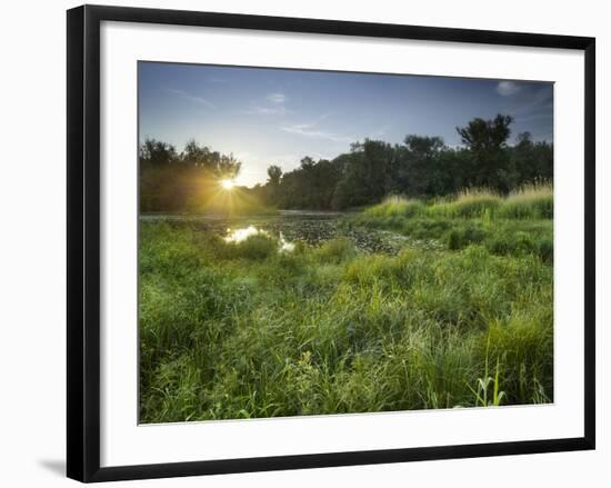 Danube-Auen National Park, Near Orth on the Danube, Lower Austria, Austria-Rainer Mirau-Framed Photographic Print