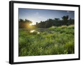 Danube-Auen National Park, Near Orth on the Danube, Lower Austria, Austria-Rainer Mirau-Framed Photographic Print