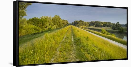 Danube-Auen National Park, Near Orth on the Danube, Lower Austria, Austria-Rainer Mirau-Framed Stretched Canvas