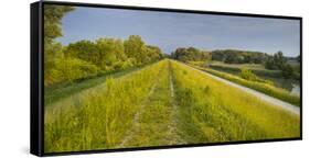 Danube-Auen National Park, Near Orth on the Danube, Lower Austria, Austria-Rainer Mirau-Framed Stretched Canvas