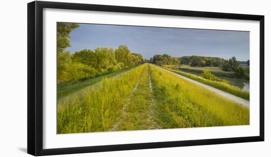 Danube-Auen National Park, Near Orth on the Danube, Lower Austria, Austria-Rainer Mirau-Framed Photographic Print