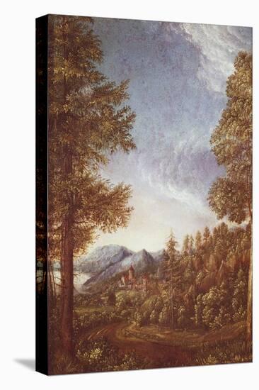 Danube Landscape with Castle Worth, C.1522-25-Albrecht Altdorfer-Stretched Canvas