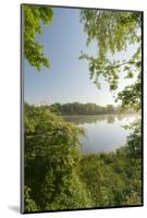 Danube Meadows, Austria-Rainer Mirau-Mounted Photographic Print