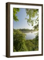 Danube Meadows, Austria-Rainer Mirau-Framed Photographic Print