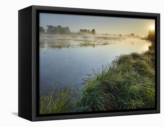 Danube Meadows, Austria-Rainer Mirau-Framed Stretched Canvas