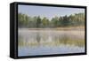 Danube Meadows, Austria-Rainer Mirau-Framed Stretched Canvas