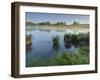 Danube Meadows, Austria-Rainer Mirau-Framed Photographic Print