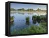 Danube Meadows, Austria-Rainer Mirau-Framed Stretched Canvas