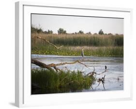 Danube River Delta, Romania, Europe-Marco Cristofori-Framed Photographic Print