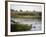 Danube River Delta, Romania, Europe-Marco Cristofori-Framed Photographic Print