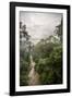 Danum Valley, Sabah, Malaysian Borneo, Malaysia, Southeast Asia, Asia-James Morgan-Framed Photographic Print