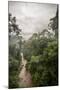 Danum Valley, Sabah, Malaysian Borneo, Malaysia, Southeast Asia, Asia-James Morgan-Mounted Photographic Print