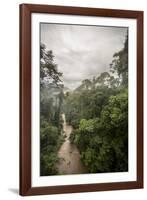 Danum Valley, Sabah, Malaysian Borneo, Malaysia, Southeast Asia, Asia-James Morgan-Framed Photographic Print