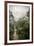 Danum Valley, Sabah, Malaysian Borneo, Malaysia, Southeast Asia, Asia-James Morgan-Framed Photographic Print