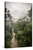 Danum Valley, Sabah, Malaysian Borneo, Malaysia, Southeast Asia, Asia-James Morgan-Stretched Canvas