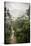 Danum Valley, Sabah, Malaysian Borneo, Malaysia, Southeast Asia, Asia-James Morgan-Stretched Canvas