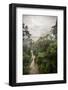 Danum Valley, Sabah, Malaysian Borneo, Malaysia, Southeast Asia, Asia-James Morgan-Framed Photographic Print